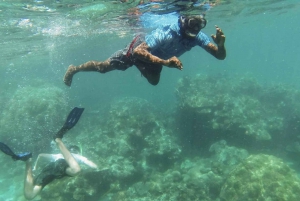 Zanzibar: Ethical Dolphin Tour with Island Picnic