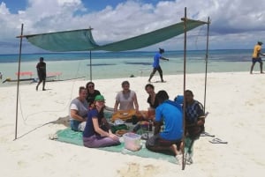 Zanzibar: Ethical Dolphin Tour with Island Picnic
