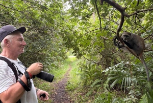 Zanzibar: Floresta Joani, Centro de Borboletas e Caverna Ngonga