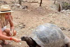 Zanzibar: Floresta Joani, Centro de Borboletas e Caverna Ngonga