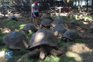 Zanzibar: Floresta Joani, Centro de Borboletas e Caverna Ngonga