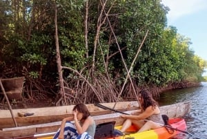 Zanzibar: Mnemba Island, Prison Island och Stone Town-tur