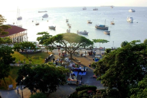 Zanzibar: Family Friendly Stone Town Walking City Tour