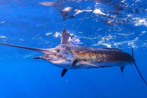 Zanzibar fishing adventure