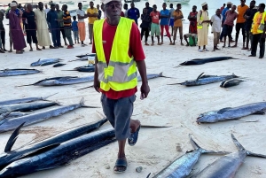 SANSIBAR FISCHEN ERFAHRUNG