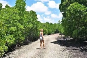 Zanzibar : visite guidée en kayak des jardins fleuris et des mangroves à Uzi.
