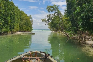 Zanzibar : visite guidée en kayak des jardins fleuris et des mangroves à Uzi.