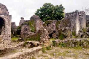 Zanzibar: tur til Fukuchani-grotten og portugisiske ruiner