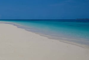 Cruzeiro de dia inteiro em Zanzibar no banco de areia e na ilha