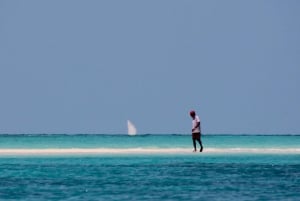 Zanzibar heldagskryssning på sandbanken och ön