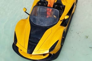 Isla de Mnemba: delfines y snorkel con recogida gratuita