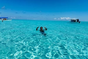 Isla de Mnemba: delfines y snorkel con recogida gratuita