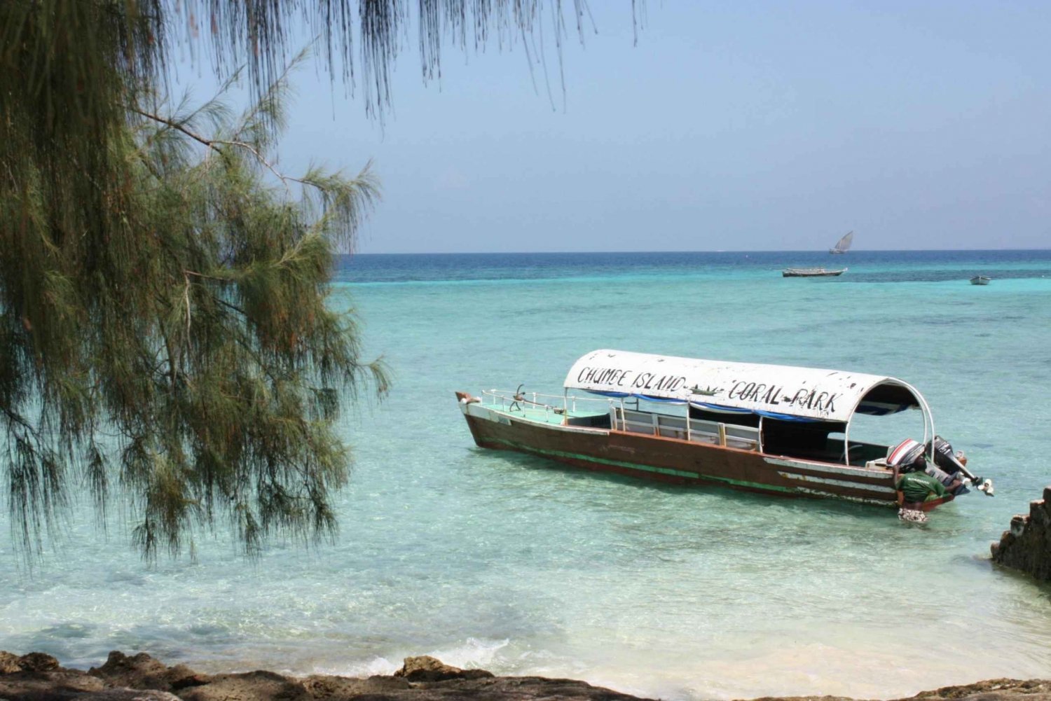 Zanzibar: beschermde Chumbe Island-tour van een hele dag w. Lunch