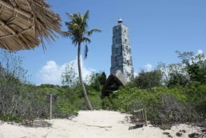 Zanzibar: Heldagsbeskyttet Chumbe Island-tur m. Lunsj
