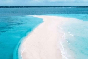 Zanzibar: Full Day Pungume Island and Snorkeling Tour