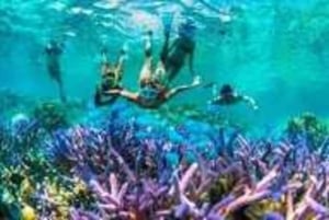 ザンジバル：サファリブルー＆ブルーラグーン1日ツアー（シュノーケリング付き）