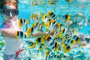 Zanzibar: Koko päivän safari Blue & Blue Lagoon -retki snorklaamalla