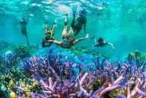 Zanzibar: Koko päivän safari Blue & Blue Lagoon -retki snorklaamalla