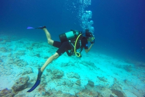 Zanzibar: un giorno di avventura subacquea con trasferimenti inclusi