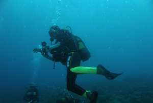 Zanzibar: un giorno di avventura subacquea con trasferimenti inclusi