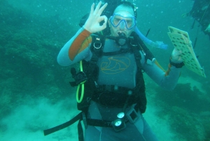 Zanzibar: un giorno di avventura subacquea con trasferimenti inclusi