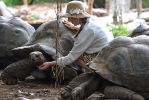 Zanzibar: Tartarugas terrestres gigantes e excursão às tartarugas marinhas da caverna Salaam