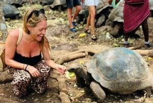 Zanzibar: Tartarugas terrestres gigantes e excursão às tartarugas marinhas da caverna Salaam