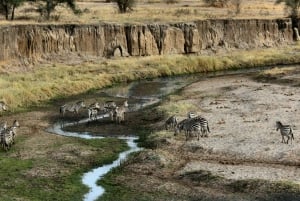 Sansibar: Gruppensafari zum Tarangire-Nationalpark und zum Ngorongoro-Krater