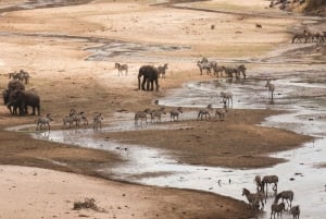 Sansibar: Gruppensafari zum Tarangire-Nationalpark und zum Ngorongoro-Krater