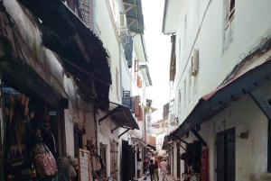 Zanzibar: rondleiding met gids en lokale gids