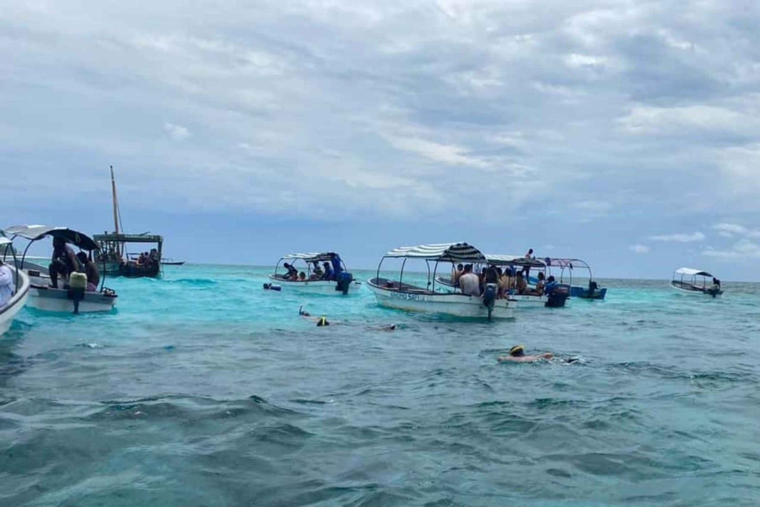 ZANZIBAR: Hakuna matata Natação com golfinhos e mergulho com snorkel (opção de almoço)