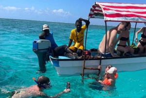 ZANZIBAR: Hakuna matata Natação com golfinhos e mergulho com snorkel (opção de almoço)