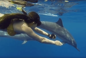 ZANZIBAR: Hakuna matata Natação com golfinhos e mergulho com snorkel (opção de almoço)