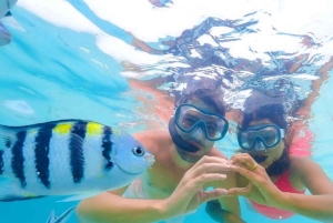 ZANZIBAR: Hakuna matata Natação com golfinhos e mergulho com snorkel (opção de almoço)