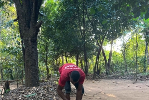 Sansibar: Halbtagestour zur Gewürzfarm, die Aromen Sansibars