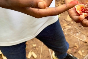 Sansibar: Halbtagestour zur Gewürzfarm, die Aromen Sansibars