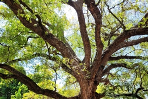 Zanzibar: Half-Day Tour Prison & Turtle Island tour