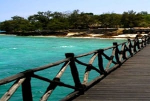 Zanzibar: Excursão de meio dia à Ilha Prisão e à Ilha Changuu