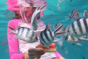 Sansibar : Halbtagestour Schnorcheln Mnemba Atoll + Delfin