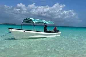 Zanzibar : Half Day Trip Snorkeling Mnemba atoll + Dolphin
