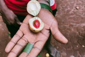 Zanzibar: piesza wycieczka po ziołach i przyprawach