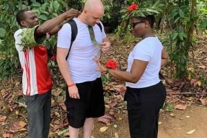 Zanzibar: piesza wycieczka po ziołach i przyprawach