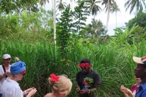 Zanzibar: piesza wycieczka po ziołach i przyprawach