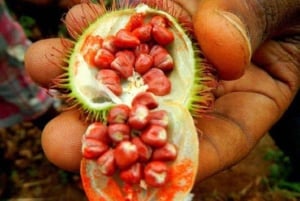 Zanzibar: piesza wycieczka po ziołach i przyprawach