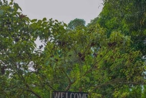 Zanzibar: piesza wycieczka po ziołach i przyprawach