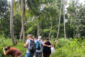 Zanzibar: Möt geparden på klippan och VIP-uttersafari