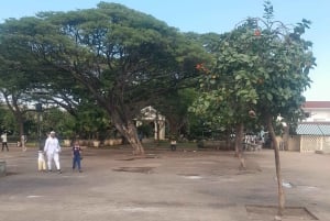 Zanzibar: Ukryte zaułki Stone Town Wycieczka grupowa