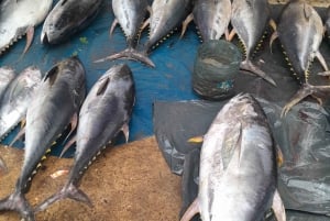 Zanzibar: Hidden Alleys of Stone Town Group Tour