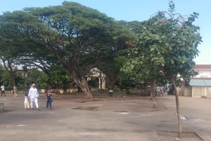 Zanzibar: Hidden Alleys of Stone Town Group Tour