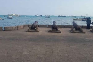 Zanzibar: Hidden Alleys of Stone Town Group Tour